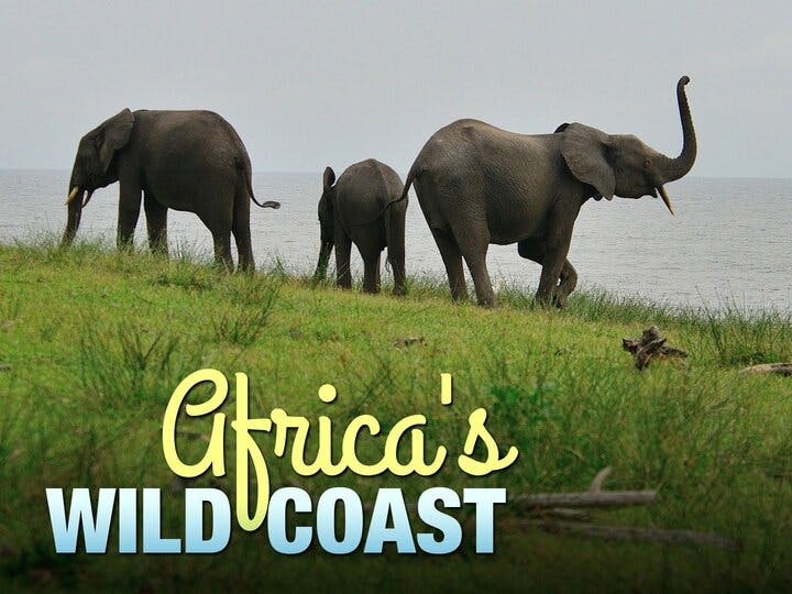 Africa's Wild Coast Image