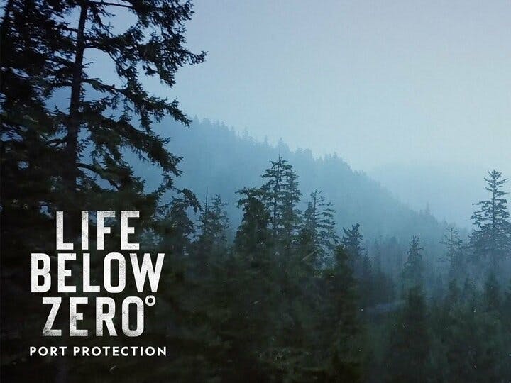 Life Below Zero: Port Protection Image