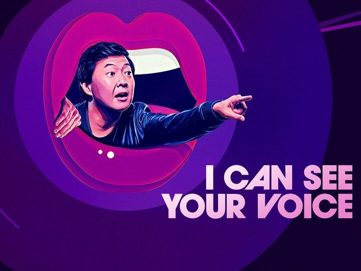 I Can See Your Voice Image