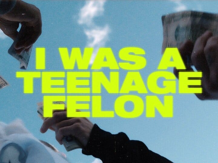 I Was a Teenage Felon Image