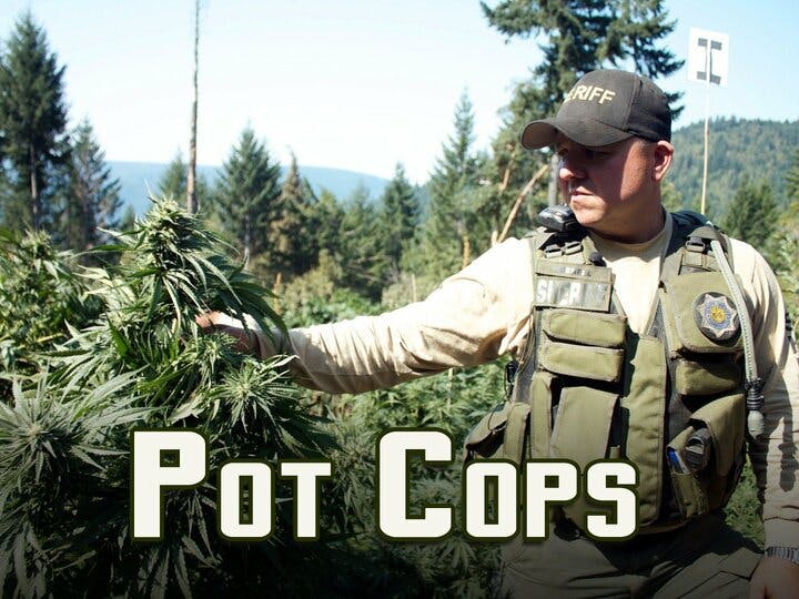 Pot Cops Image