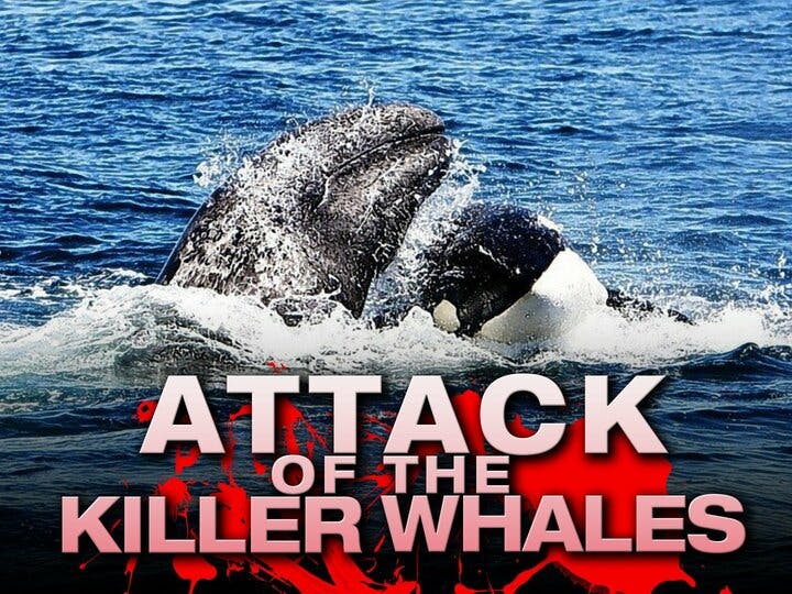 Attack of the Killer Whales Image