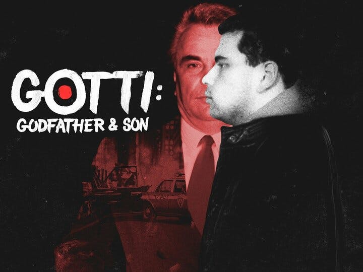 Gotti: Godfather & Son Image
