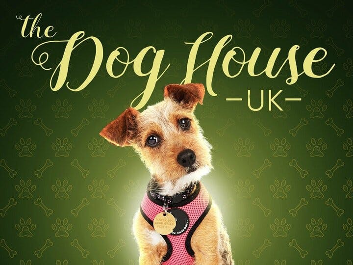 The Dog House: UK Image