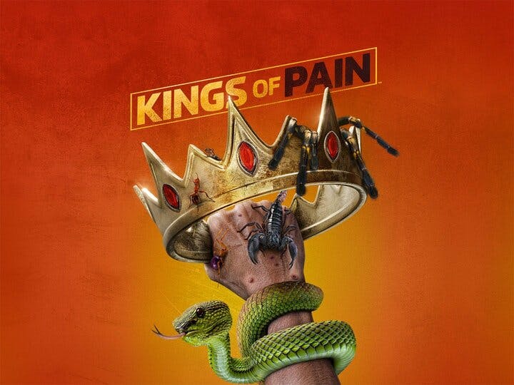 Kings of Pain Image