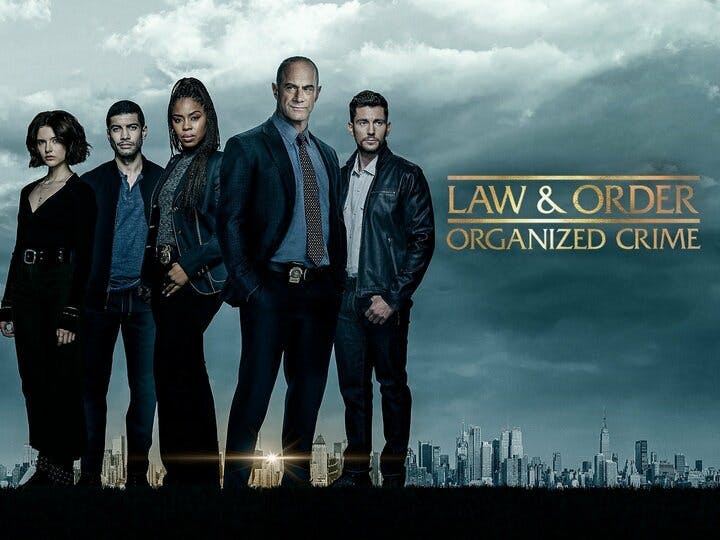 Law & Order: Organized Crime Image