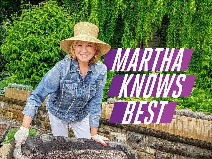 Martha Knows Best Image