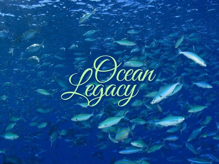 Ocean Legacy Image