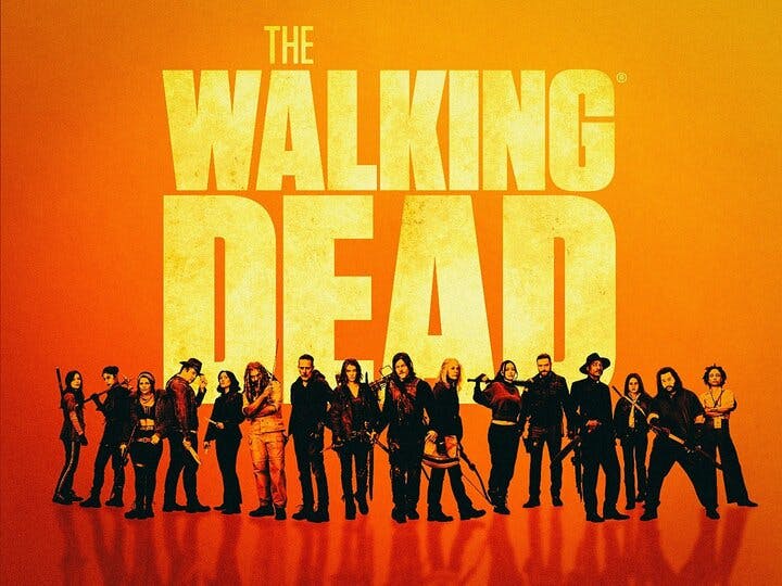 The Walking Dead Image