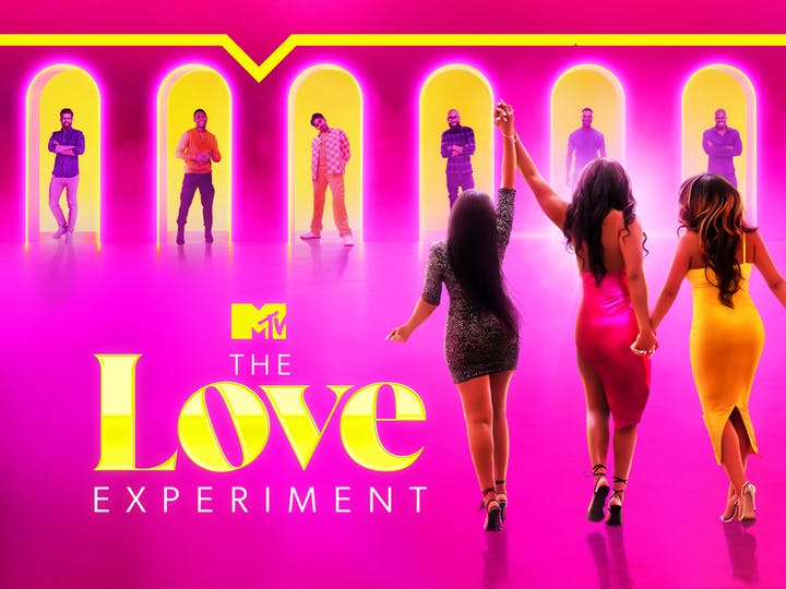 The Love Experiment Image