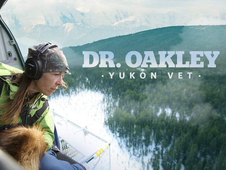 Dr. Oakley, Yukon Vet Image