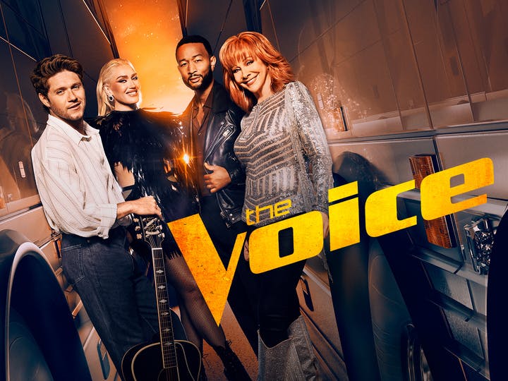The Voice Image