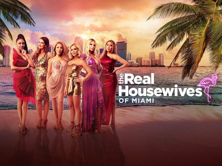 The Real Housewives of Miami Image