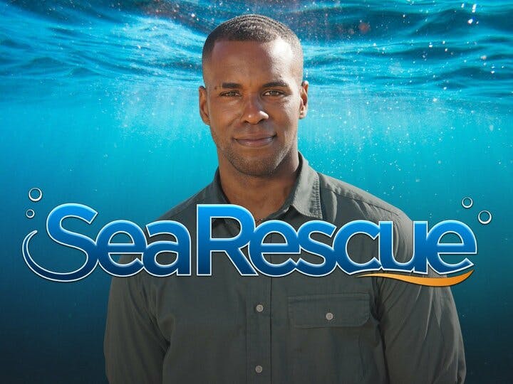 Sea Rescue Image